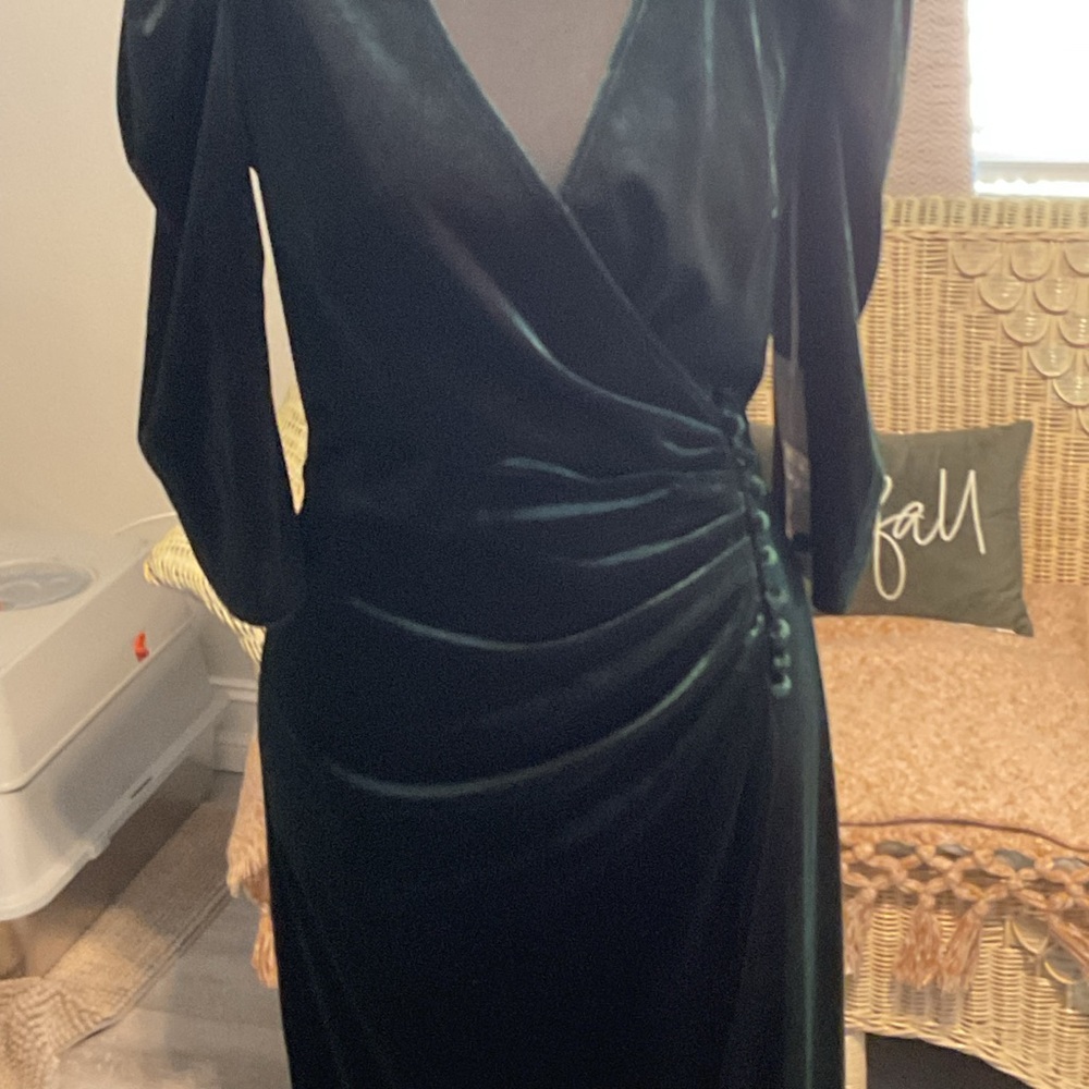 Chelsea 28 Green velvet stunning with tags dress
Perfect for the season STUNNING
